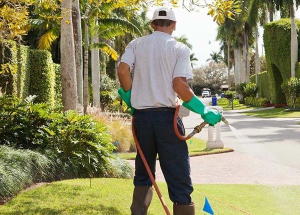 About Devens MA Pest Control Pros